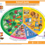 Supplements for a Balanced Diet: An Essential Guide