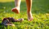 Barefoot Footwear’s Orthopedic Benefits for Children