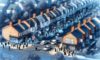 House Clearance Costs in the UK: Essential Negotiation Tips