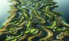 Bellville Golf Club: Your Next Premier Golfing Destination