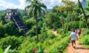 Belize Attractions: A Must-See Travel Guide and Tips