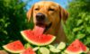 Seasonal Diet Adjustments for Pets: Essential Health Tips